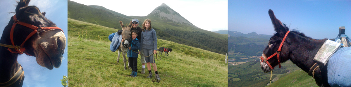 cadichon et Jordy sur les crêtes du Cantal