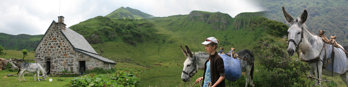 Coline au Buron d'Eylac