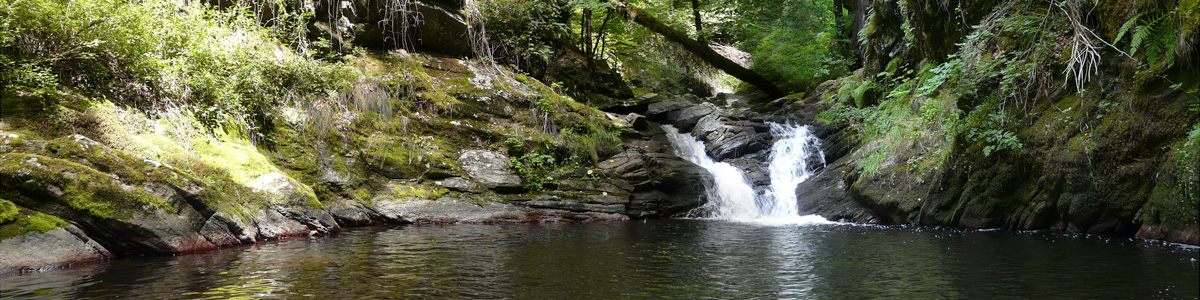 ruisseaux et cascades dans le cantal