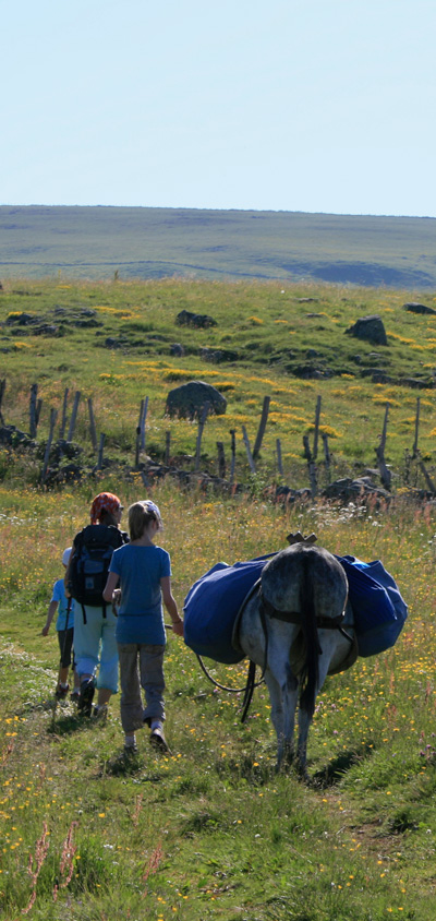 Famille et anesse sur les crêtes du Plomb du Cantal